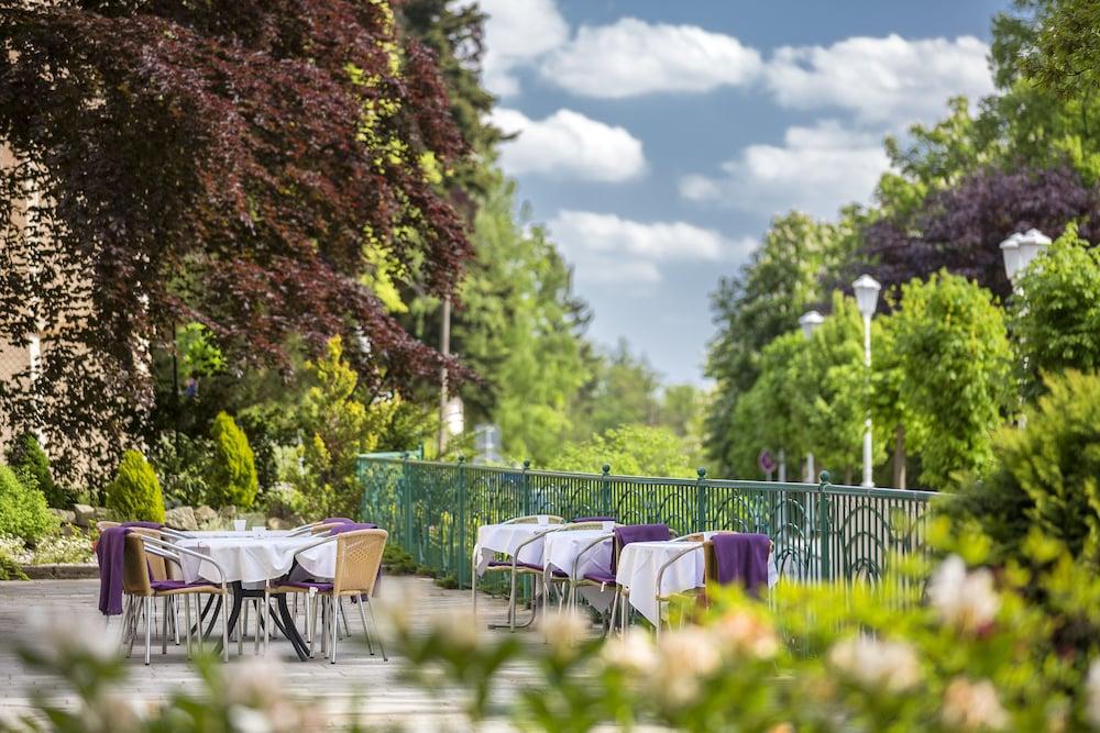 Villa Regent Spa & Wellness Mariánské Lázně Exteriör bild